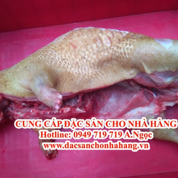 Bảng Giá Thịt Nhím Tại Trại Nhím Củ Chi