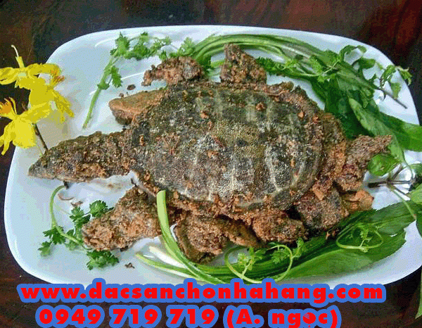 Vựa Ba Ba Thịt HCM